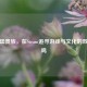 阿根廷贵族，在Steam追寻游戏与文化的双重共鸣