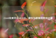 CS:GO完美平台ABCD分，藏在分数里的竞技江湖