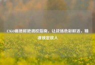 CSGO画质鲜艳调校指南，让战场色彩鲜活，精准锁定敌人