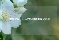 青睐之光，Steam独立游戏的星光起点