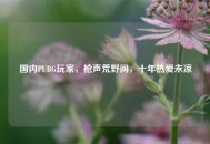 国内PUBG玩家，枪声荒野间，十年热爱未凉