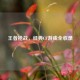 王者枪战，经典CF游戏全收录