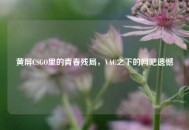 黄屏CSGO里的青春残局，VAC之下的网吧遗憾