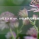 当APEX女友沉迷CSGO，FPS玩家的跨界恋爱趣事