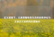 正义清算下，王者荣耀电竞生态的自我净化与王者正义皮肤的价值锚点