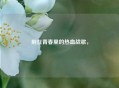 刻在青春里的热血战歌，
