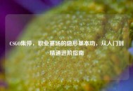 CSGO集停，职业赛场的隐形基本功，从入门到精通进阶指南