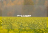 小羊的生存法则