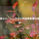 宇宙骑士AP，Steam平台上的经典重现与精神传承