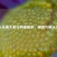 PUBG头盔不显示问题解析，原因与解决     