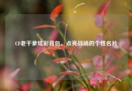 CF老干爹炫彩背包，点亮战场的个性名片