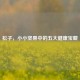 松子，小小坚果中的五大健康宝藏