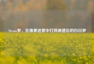 Steam梦，在像素迷雾中打捞被遗忘的白日梦