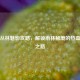 逆战丛林魅影攻略，解锁雨林秘境的热血通关之路