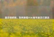 超详细教程，如何查看PUBG账号是否已激活