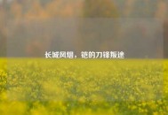 长城风烟，铠的刀锋叛途