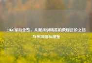 CSGO军衔全览，从新兵到精英的荣耀进阶之路与等级图标图鉴