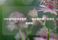 PUBG启动选项全解析，一键拉满帧数，告别卡顿掉帧