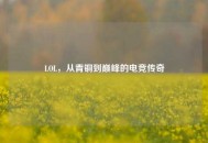 LOL，从青铜到巅峰的电竞传奇