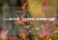 Steam夏日边框，为游戏库添一抹清新夏日风情