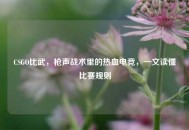 CSGO比武，枪声战术里的热血电竞，一文读懂比赛规则