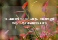 COD16垂直同步开不开？从帧率、流畅度到硬件负载，一文说清帧数同步全细节