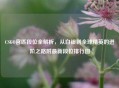 CSGO官匹段位全解析，从白银到全球精英的进阶之路附最新段位排行图