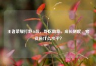 王者荣耀打野46段，野区勋章，成长刻度，究竟是什么水平？