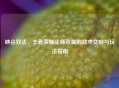 峡谷双法，王者荣耀法师双星的战术交响与玩法指南