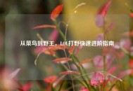 从菜鸟到野王，LOL打野快速进阶指南