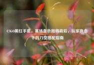 CSGO黑红手套，赛场血色图腾背后，玩家执念下的刀型搭配指南