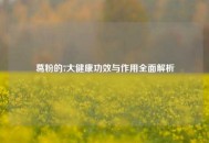 葛粉的7大健康功效与作用全面解析
