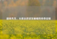超级先生，从低谷逆战至巅峰的传奇征程