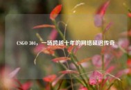 CSGO 304，一场跨越十年的     延迟传奇