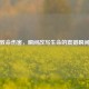致命伤害，瞬间改写生命的震撼瞬间