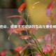 维他命，健康不可或缺的生命元素全解析