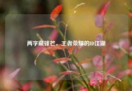 两字藏锋芒，王者荣耀的ID江湖