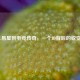从LOL易星到电竞传奇，一个ID背后的蜕变之旅