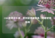CSGO免费音乐盒，胜利旋律藏浪漫，附赠使用指南