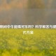 减肥期间中午能喝可乐吗？科学解答与健康替代方案