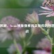 复古风潮，Steam横版像素闯关游戏的创意与挑战