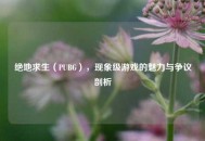 绝地求生（PUBG），现象级游戏的魅力与争议剖析