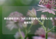 峡谷唇枪舌剑，为何王者荣耀中小学生骂人现象频发？