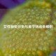 女性胸型分类与美学特点全解析