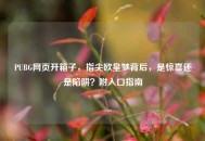 PUBG网页开箱子，指尖欧皇梦背后，是惊喜还是陷阱？附入口指南