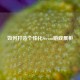 如何打造个性化Steam游戏展柜