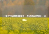 CF排位跨段位组队规则，专家能否与宗师一同排位？