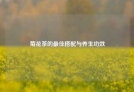 菊花茶的更佳搭配与养生功效