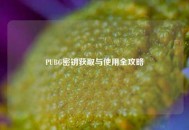 PUBG密钥获取与使用全攻略