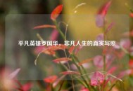 平凡英雄罗国华，非凡人生的真实写照
